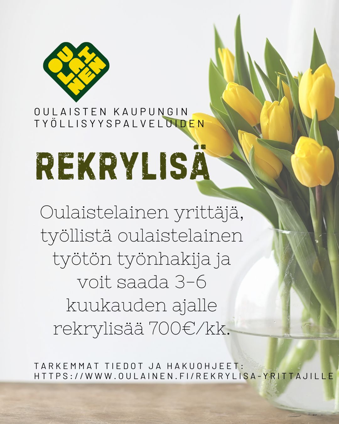 rekrylisa-(1.jpg