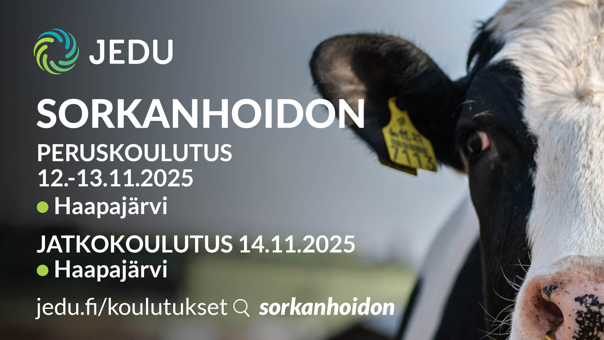 sorkanhoitokoulutukset.jpg