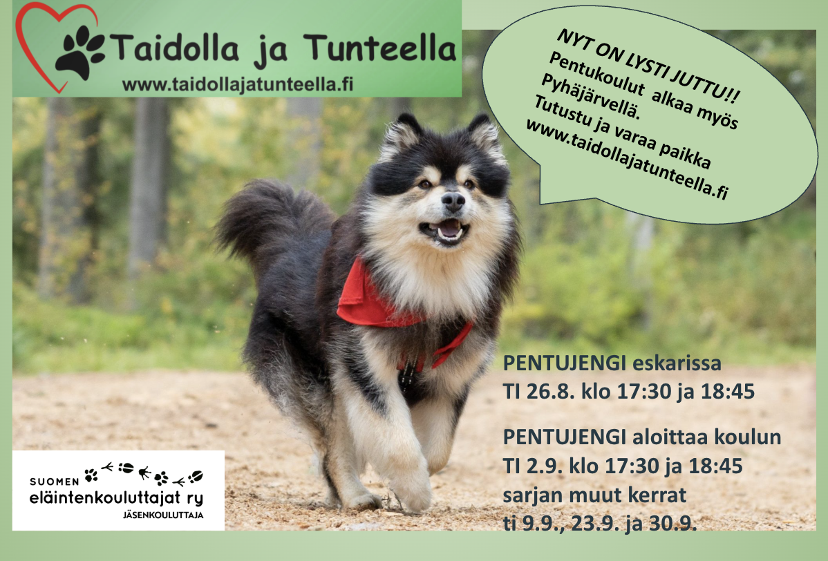 lystijuttu_pj.png
