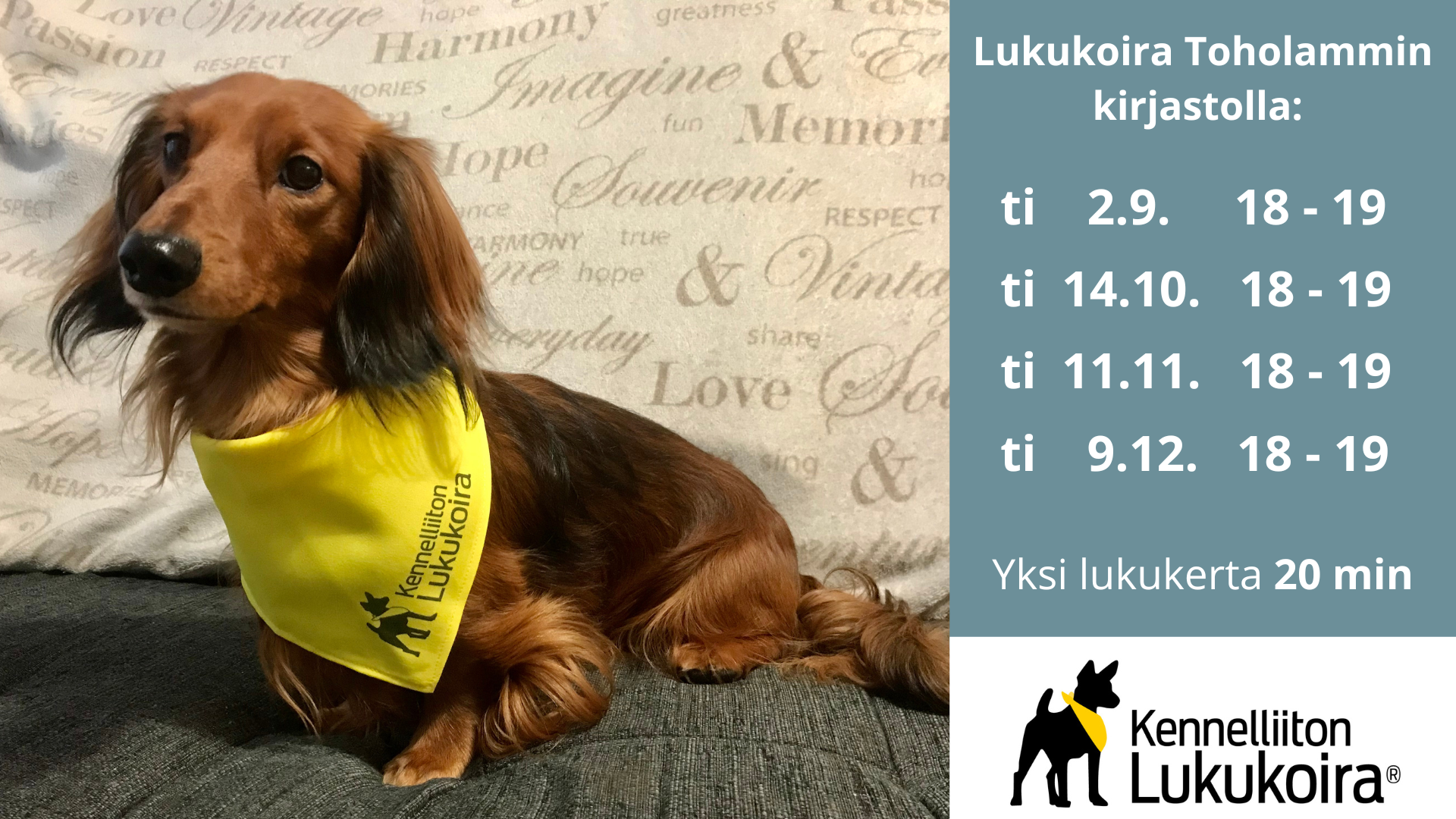 lukukoira,-info-tv.png